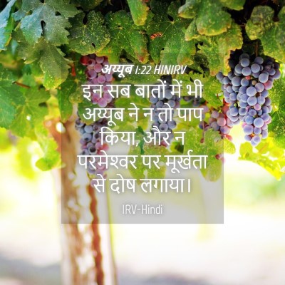 Picture 04 - अय्यूब 1:22 HINIRV - इन सब बातों में भी - Bible Verse Picture