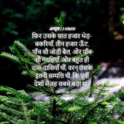 Picture 04 - अय्यूब 1:3 HINIRV - फिर उसके सात हजार - Bible Verse Picture