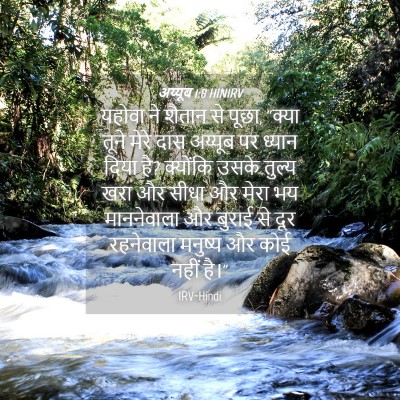 Picture 04 - अय्यूब 1:8 HINIRV - यहोवा ने शैतान से - Bible Verse Picture