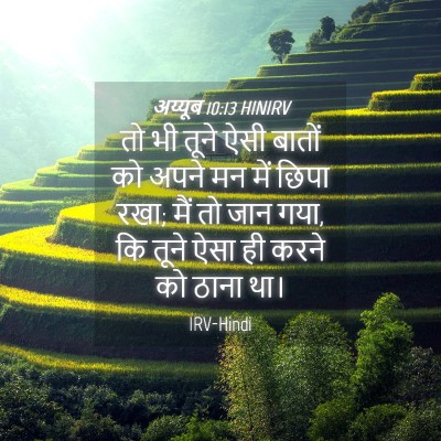 Picture 04 - अय्यूब 10:13 HINIRV - तो भी तूने ऐसी - Bible Verse Picture