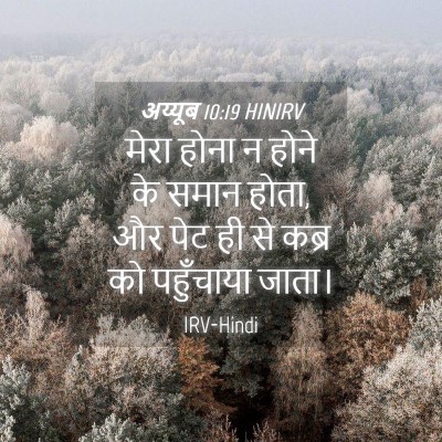 Picture 04 - अय्यूब 10:19 HINIRV - मेरा होना न होने के - Bible Verse Picture