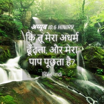 Picture 04 - अय्यूब 10:6 HINIRV - कि तू मेरा अधर्म - Bible Verse Picture