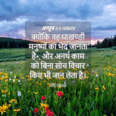 Picture 04 - अय्यूब 11:11 HINIRV - क्योंकि वह - Bible Verse Picture