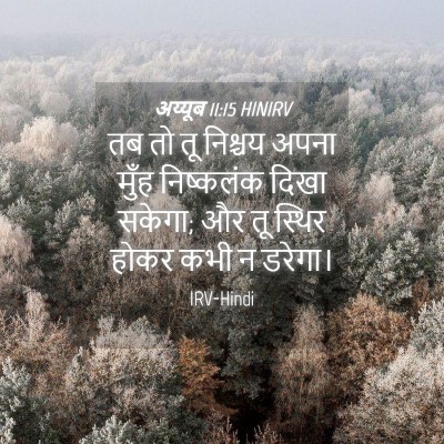 Picture 04 - अय्यूब 11:15 HINIRV - तब तो तू निश्चय - Bible Verse Picture