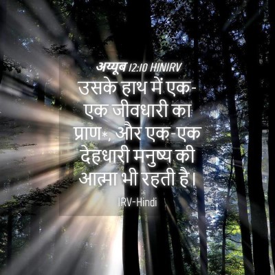 Picture 04 - अय्यूब 12:10 HINIRV - उसके हाथ में एक-एक - Bible Verse Picture