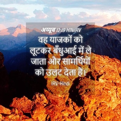 Picture 04 - अय्यूब 12:19 HINIRV - वह याजकों को लूटकर - Bible Verse Picture