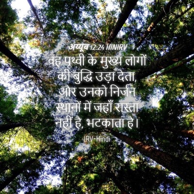 Picture 04 - अय्यूब 12:24 HINIRV - वह पृथ्वी के मुख्य - Bible Verse Picture