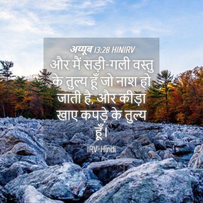 Picture 04 - अय्यूब 13:28 HINIRV - और मैं सड़ी-गली - Bible Verse Picture