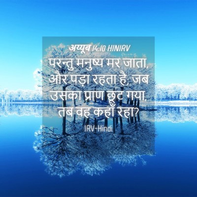 Picture 04 - अय्यूब 14:10 HINIRV - परन्तु मनुष्य मर - Bible Verse Picture