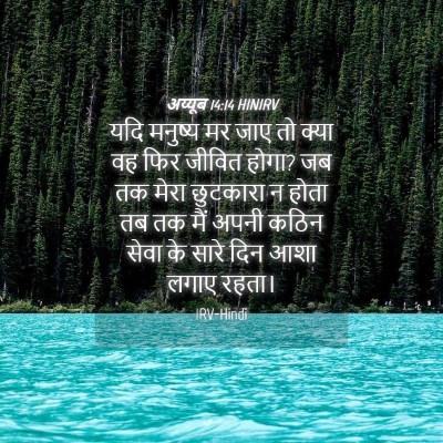 Picture 04 - अय्यूब 14:14 HINIRV - यदि मनुष्य मर जाए - Bible Verse Picture