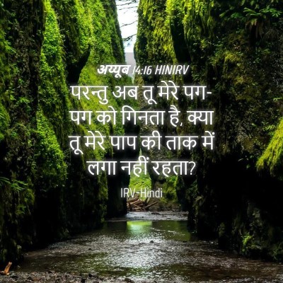 Picture 04 - अय्यूब 14:16 HINIRV - परन्तु अब तू मेरे - Bible Verse Picture