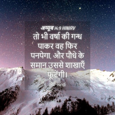 Picture 04 - अय्यूब 14:9 HINIRV - तो भी वर्षा की गन्ध - Bible Verse Picture