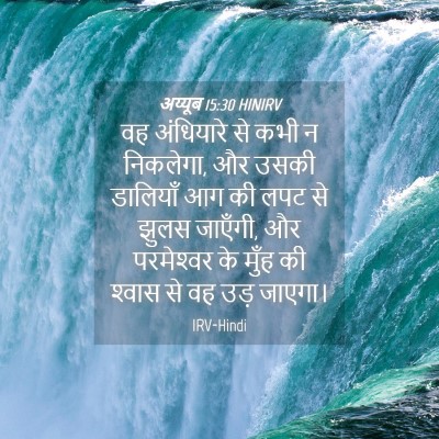 Picture 04 - अय्यूब 15:30 HINIRV - वह अंधियारे से कभी - Bible Verse Picture