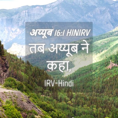 Picture 04 - अय्यूब 16:1 HINIRV - तब अय्यूब ने - Bible Verse Picture