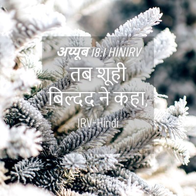 Picture 04 - अय्यूब 18:1 HINIRV - तब शूही बिल्दद ने - Bible Verse Picture