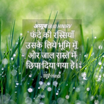 Picture 04 - अय्यूब 18:10 HINIRV - फंदे की रस्सियाँ - Bible Verse Picture