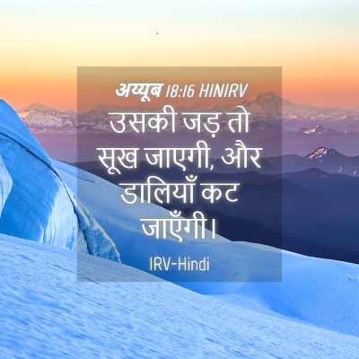 Picture 04 - अय्यूब 18:16 HINIRV - उसकी जड़ तो सूख - Bible Verse Picture