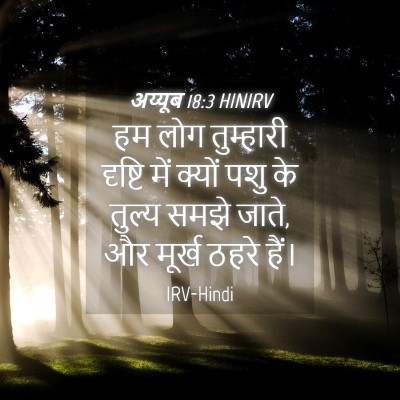 Picture 04 - अय्यूब 18:3 HINIRV - हम लोग तुम्हारी - Bible Verse Picture