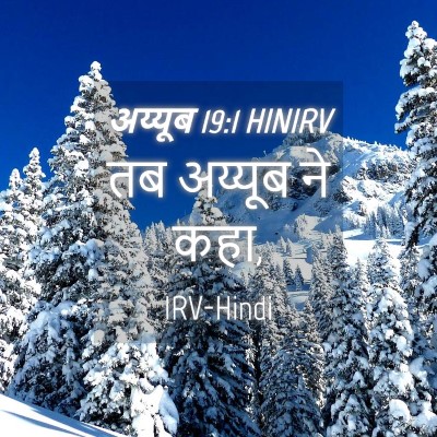 Picture 04 - अय्यूब 19:1 HINIRV - तब अय्यूब ने - Bible Verse Picture