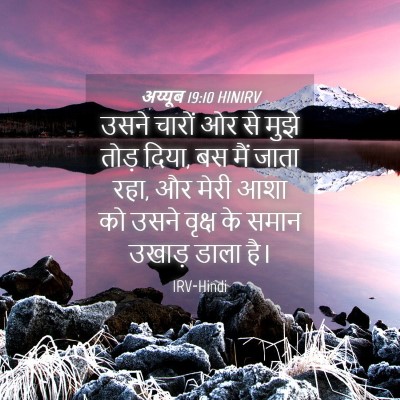 Picture 04 - अय्यूब 19:10 HINIRV - उसने चारों ओर से - Bible Verse Picture