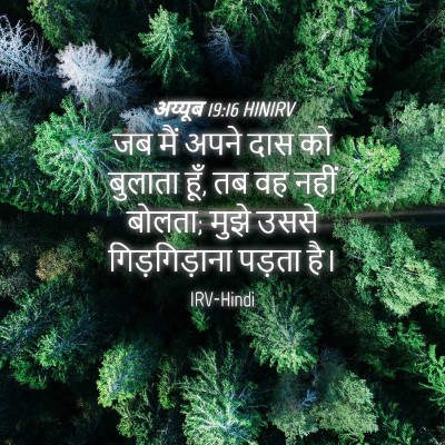 Picture 04 - अय्यूब 19:16 HINIRV - जब मैं अपने दास को - Bible Verse Picture