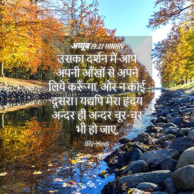 Picture 04 - अय्यूब 19:27 HINIRV - उसका दर्शन मैं आप - Bible Verse Picture