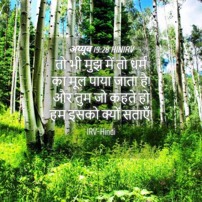 Picture 04 - अय्यूब 19:28 HINIRV - तो भी मुझ में तो - Bible Verse Picture