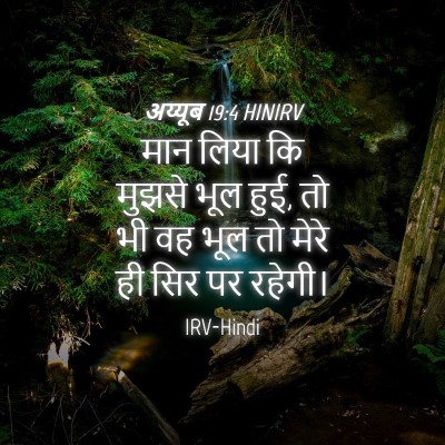 Picture 04 - अय्यूब 19:4 HINIRV - मान लिया कि मुझसे - Bible Verse Picture