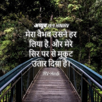 Picture 04 - अय्यूब 19:9 HINIRV - मेरा वैभव उसने हर - Bible Verse Picture