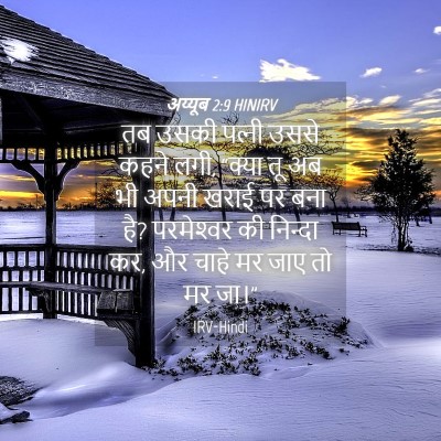 Picture 04 - अय्यूब 2:9 HINIRV - तब उसकी पत्‍नी - Bible Verse Picture