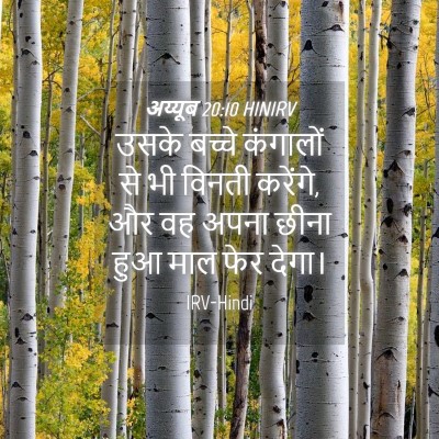 Picture 04 - अय्यूब 20:10 HINIRV - उसके बच्चे - Bible Verse Picture