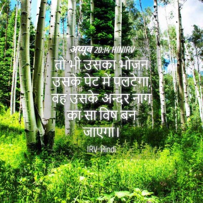 Picture 04 - अय्यूब 20:14 HINIRV - तो भी उसका भोजन - Bible Verse Picture