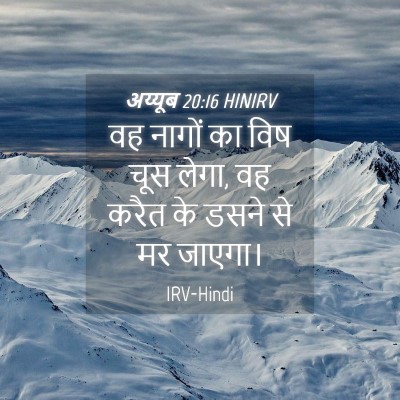 Picture 04 - अय्यूब 20:16 HINIRV - वह नागों का विष चूस - Bible Verse Picture