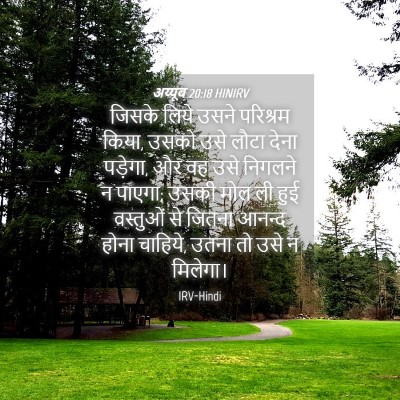 Picture 04 - अय्यूब 20:18 HINIRV - जिसके लिये उसने - Bible Verse Picture