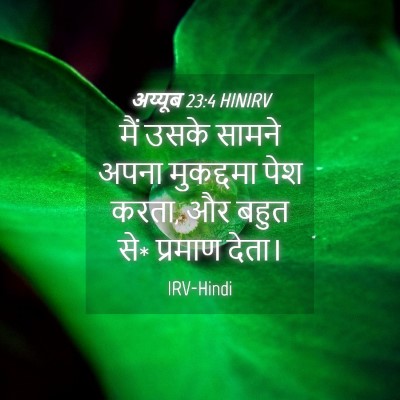 Picture 04 - अय्यूब 23:4 HINIRV - मैं उसके सामने - Bible Verse Picture