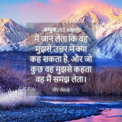 Picture 04 - अय्यूब 23:5 HINIRV - मैं जान लेता कि वह - Bible Verse Picture