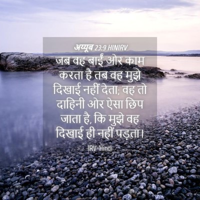 Picture 04 - अय्यूब 23:9 HINIRV - जब वह बाईं ओर काम - Bible Verse Picture