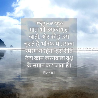 Picture 04 - अय्यूब 24:20 HINIRV - माता भी उसको भूल - Bible Verse Picture