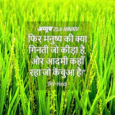Picture 04 - अय्यूब 25:6 HINIRV - फिर मनुष्य की क्या - Bible Verse Picture