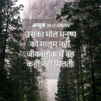 Picture 04 - अय्यूब 28:13 HINIRV - उसका मोल मनुष्य को - Bible Verse Picture