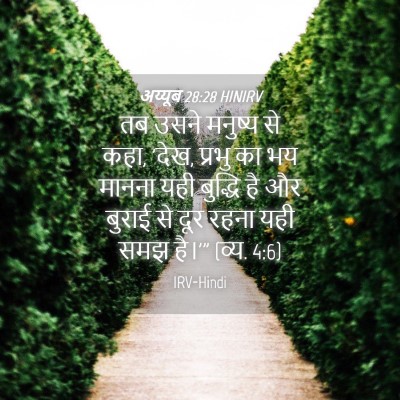 Picture 04 - अय्यूब 28:28 HINIRV - तब उसने मनुष्य से - Bible Verse Picture
