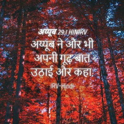 Picture 04 - अय्यूब 29:1 HINIRV - अय्यूब ने और भी - Bible Verse Picture