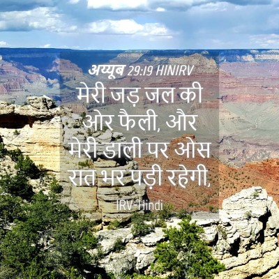 Picture 04 - अय्यूब 29:19 HINIRV - मेरी जड़ जल की ओर - Bible Verse Picture