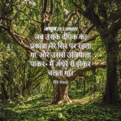 Picture 04 - अय्यूब 29:3 HINIRV - जब उसके दीपक का - Bible Verse Picture