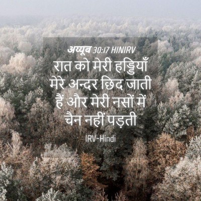 Picture 04 - अय्यूब 30:17 HINIRV - रात को मेरी - Bible Verse Picture