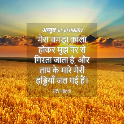 Picture 04 - अय्यूब 30:30 HINIRV - मेरा चमड़ा काला - Bible Verse Picture