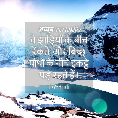 Picture 04 - अय्यूब 30:7 HINIRV - वे झाड़ियों के बीच - Bible Verse Picture