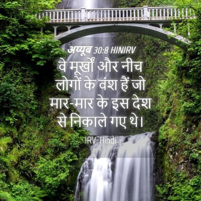 Picture 04 - अय्यूब 30:8 HINIRV - वे मूर्खों और नीच - Bible Verse Picture
