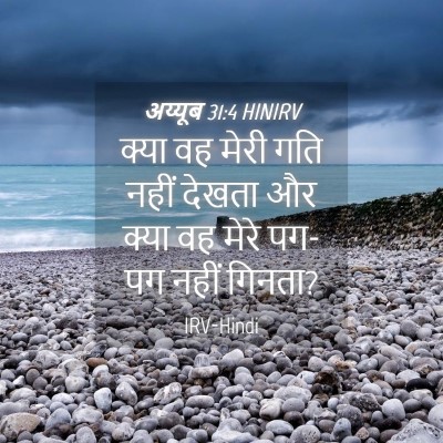 Picture 04 - अय्यूब 31:4 HINIRV - क्या वह मेरी गति - Bible Verse Picture