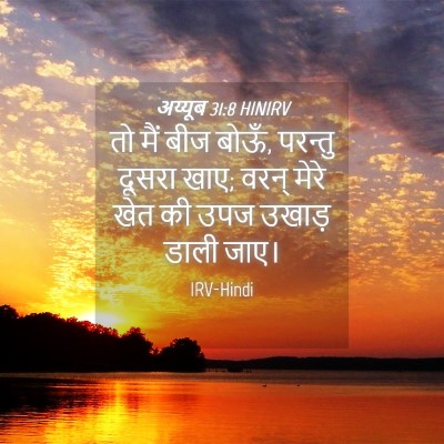 Picture 04 - अय्यूब 31:8 HINIRV - तो मैं बीज बोऊँ, - Bible Verse Picture
